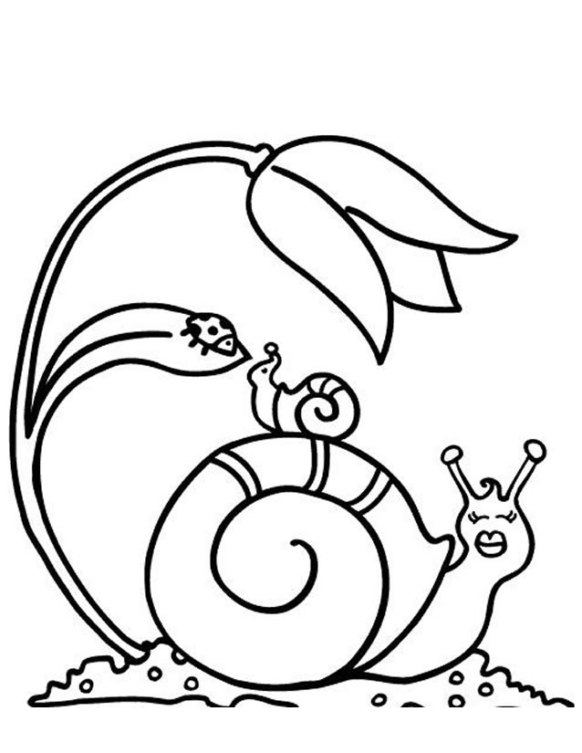 Coloriage Escargot #6526 (Animaux) - Album De Coloriages destiné Coloriage Escargot 