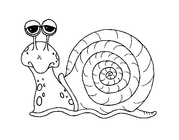 Coloriage Escargot Gratuit À Imprimer destiné Coloriage Escargot 