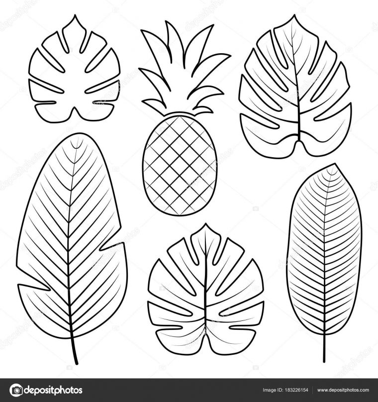 Coloriage Feuilles Tropicales – Ohbq serapportantà Feuille Coloriage