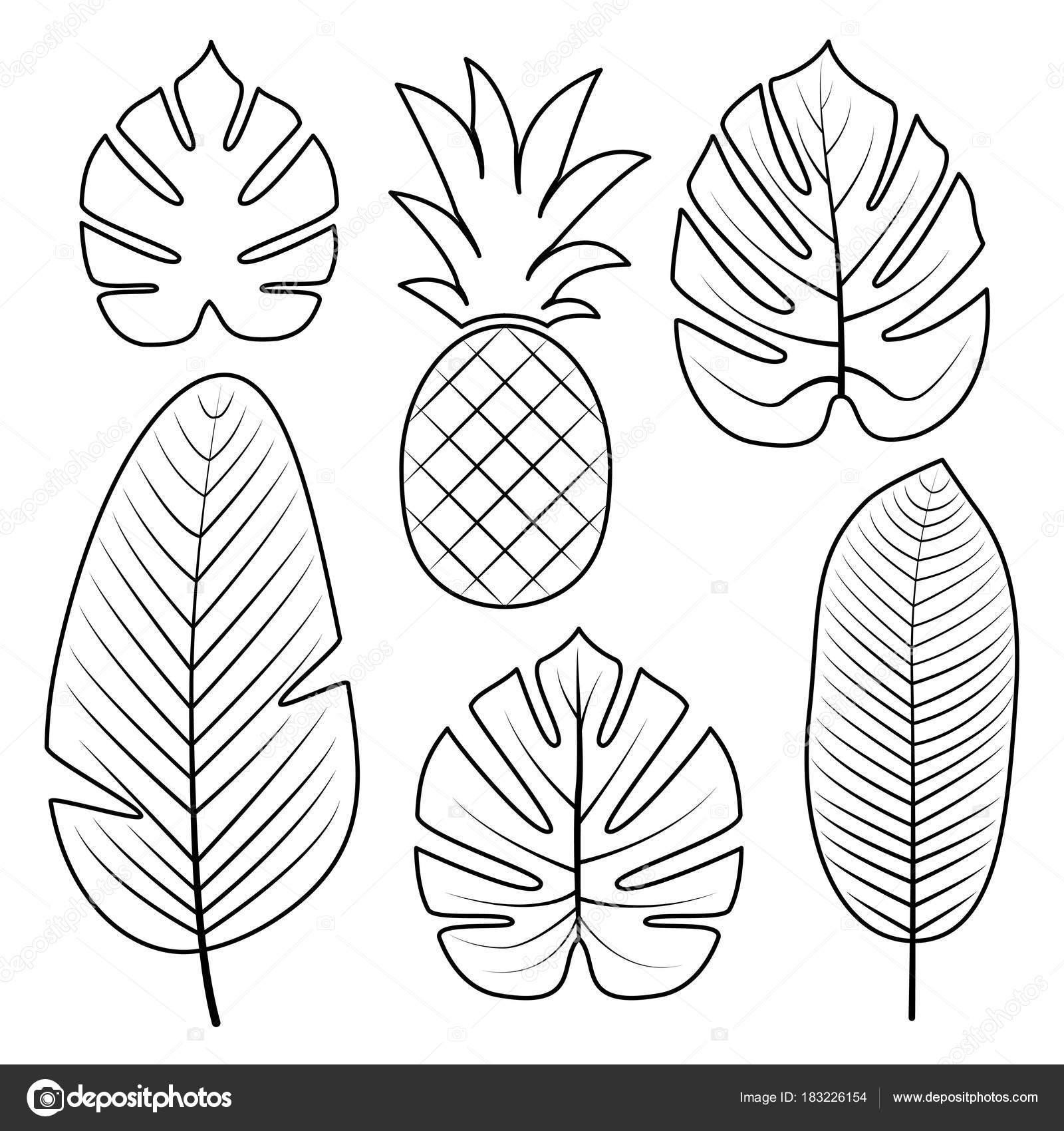 Coloriage Feuilles Tropicales - Ohbq serapportantà Feuille Coloriage 