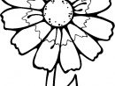 Coloriage Fleur Blanche Dessin Gratuit À Imprimer destiné Dessin Fleur Simple