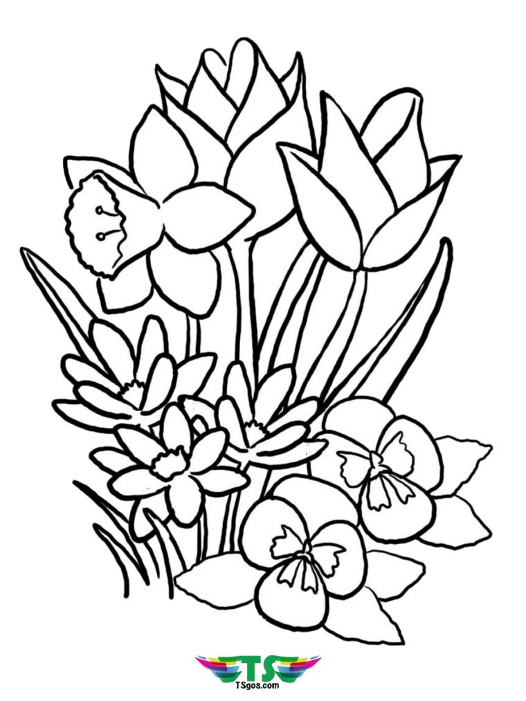 Coloriage Fleur – Coloriage Des Fleurs Du Printemps encequiconcerne Coloriage Fleur