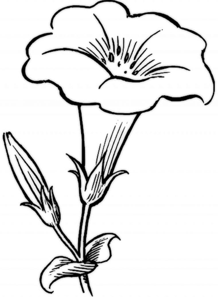 Coloriage Fleurs. De Belles Images Pour La Créativité Des Enfants concernant Fleurs À Colorier