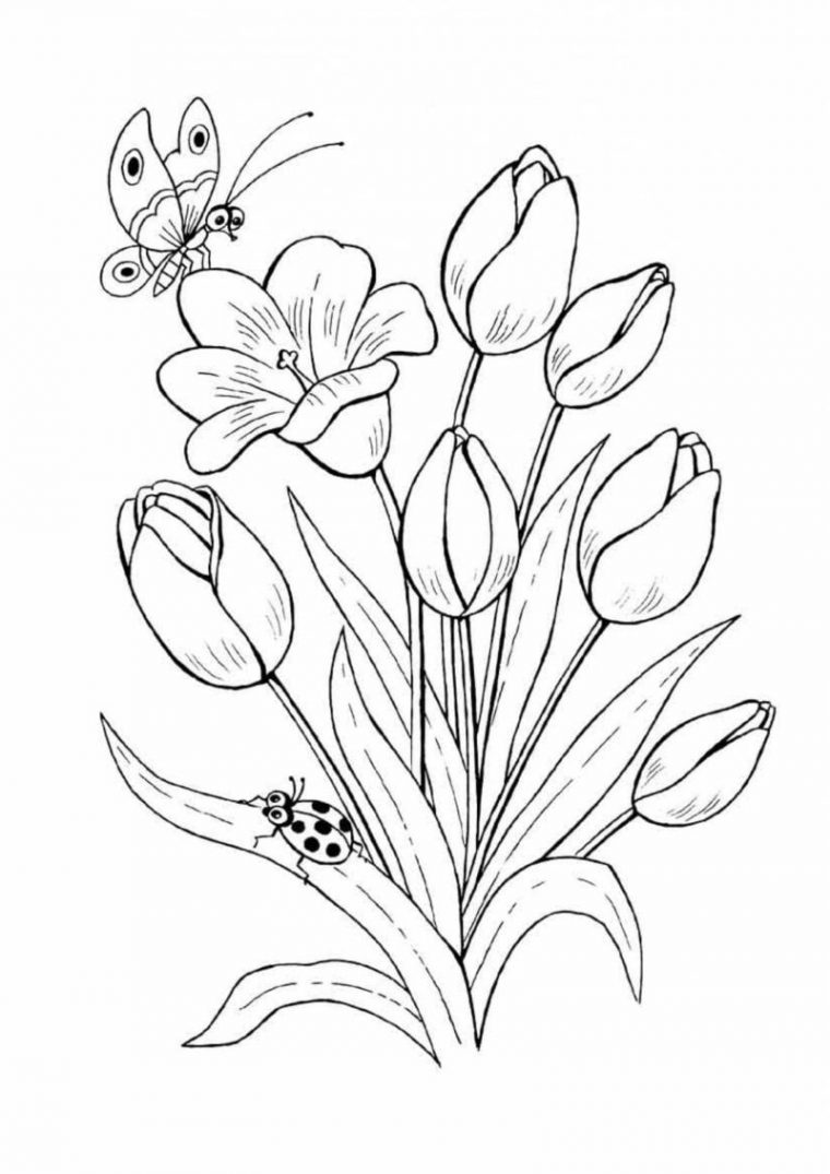 Coloriage Fleurs. De Belles Images Pour La Créativité Des Enfants dedans Coloriage De Rose Rouge