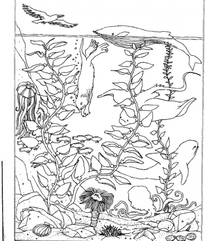 Coloriage Fond De Mer Et Animaux Dessin Gratuit À Imprimer destiné Fond Marin Coloriage