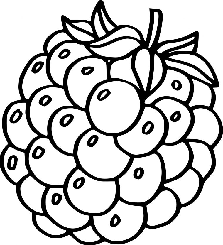 Coloriage Framboise Dessin À Imprimer Sur Coloriages intérieur Fruit A Dessiner