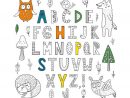 Coloriage Géant Éducatif, Alphabet Forme Des Lettres, Pour Les Enfants tout Coloriage Lettre Alphabet