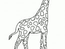 Coloriage Girafe 1 Sur Hugolescargot intérieur Dessin Girafe