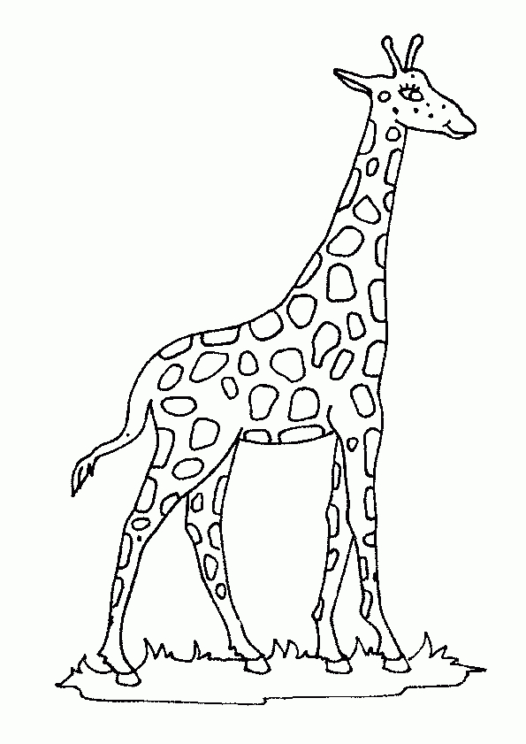 Coloriage Girafe 1 Sur Hugolescargot intérieur Dessin Girafe 