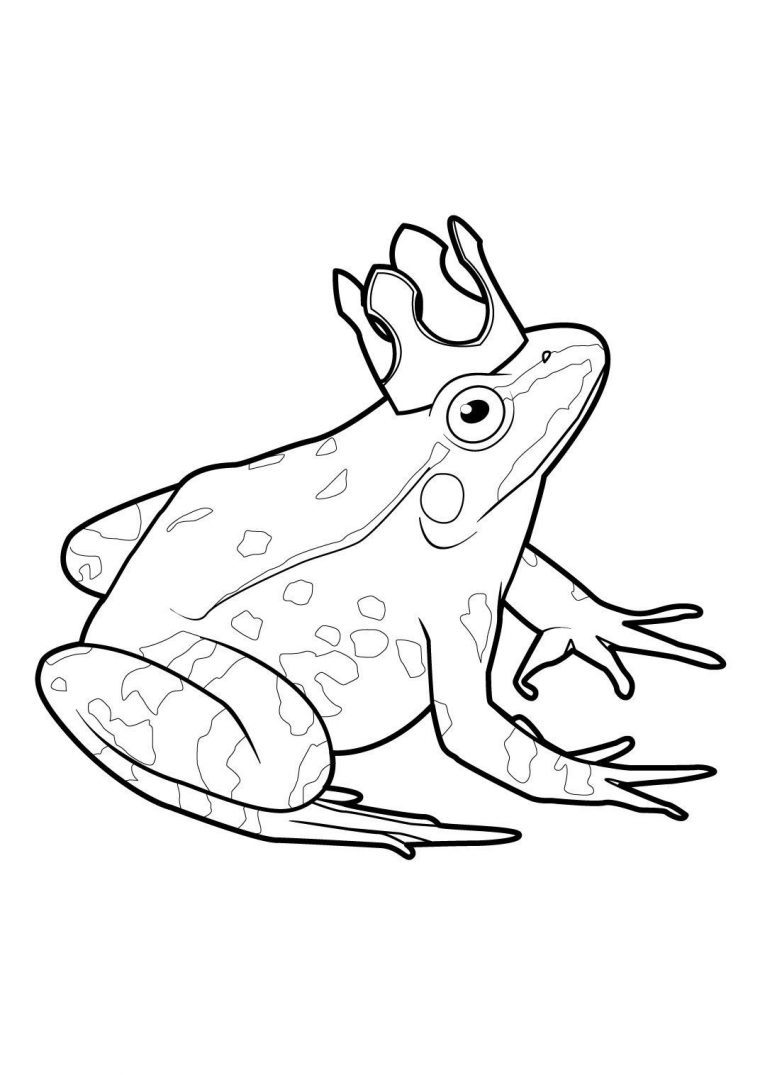 Coloriage Grenouille 10 – Coloriage Grenouilles – Coloriages Animaux à Coloriage Grenouille