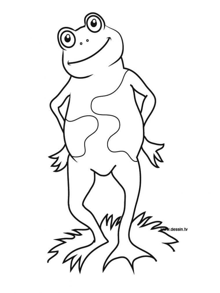 Coloriage Grenouille Debout serapportantà Grenouille Coloriage