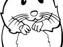 Coloriage Hamster À Imprimer concernant Coloriagea Imprimer