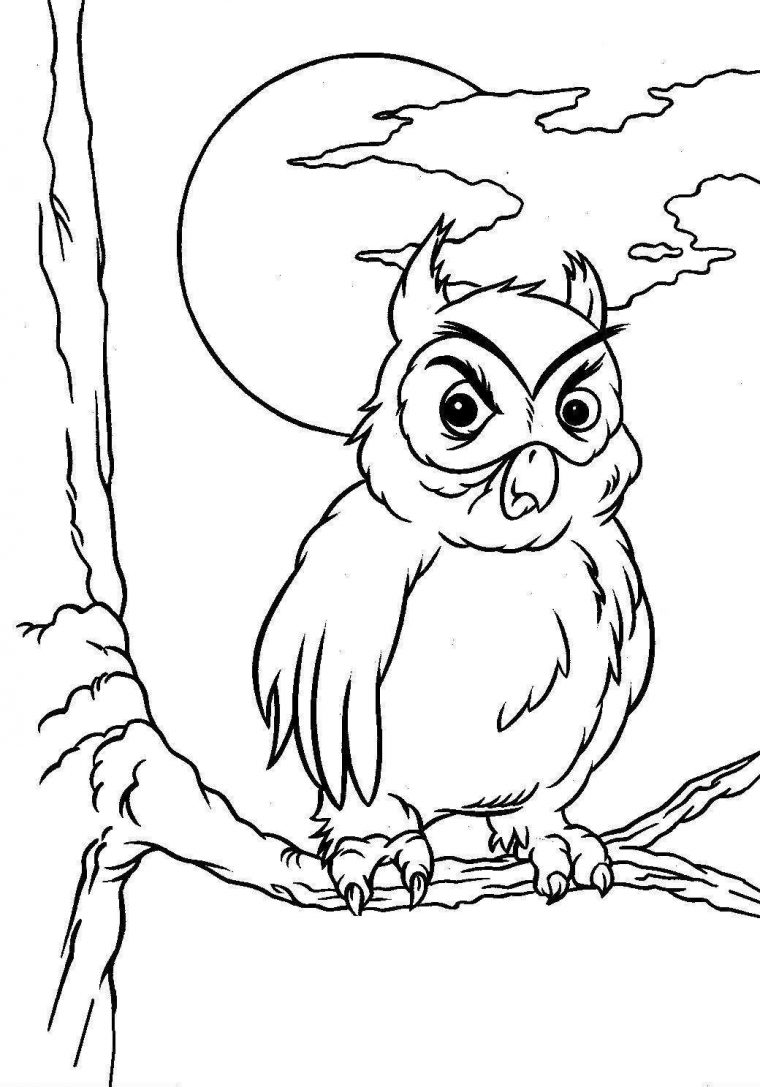 Coloriage Hibou #8580 (Animaux) – Album De Coloriages avec Hiboux Coloriage