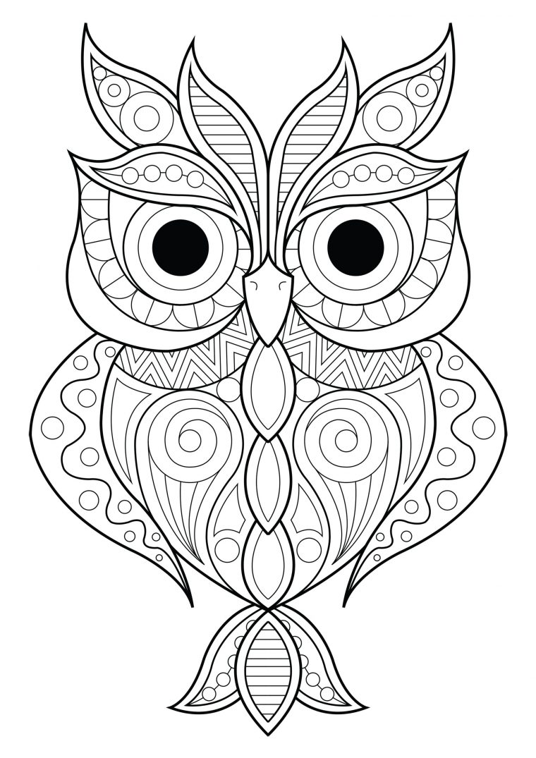 Coloriage Hibou serapportantà Dessin Hibou