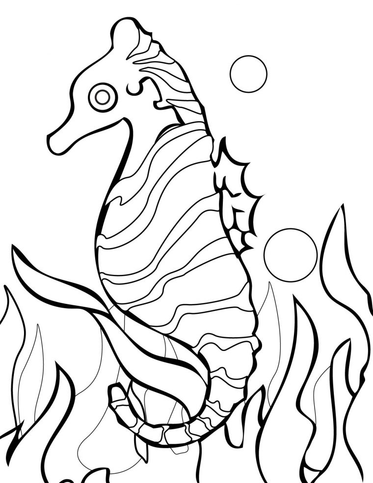 Coloriage Hippocampe À Imprimer Sur Coloriages serapportantà Dessin Hippocampe