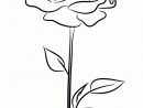 Coloriage Jolie Rose Saint Valentin Stylisee Sur Hugolescargot concernant Coloriage De Rose