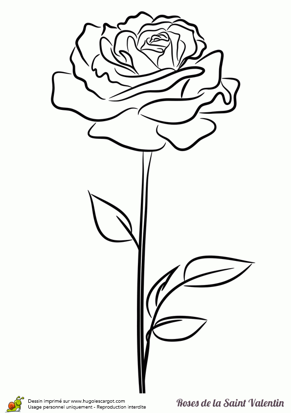 Coloriage Jolie Rose Saint Valentin Stylisee Sur Hugolescargot concernant Coloriage De Rose 
