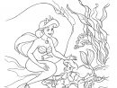 Coloriage La Petite Sirène  Disney Coloring Pages, Disney Princess dedans Coloriage Ariel La Petite Sirène