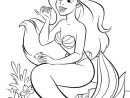 Coloriage La Petite Sirène  Mermaid Coloring Pages, Disney Princess à Coloriage Princesse Ariel