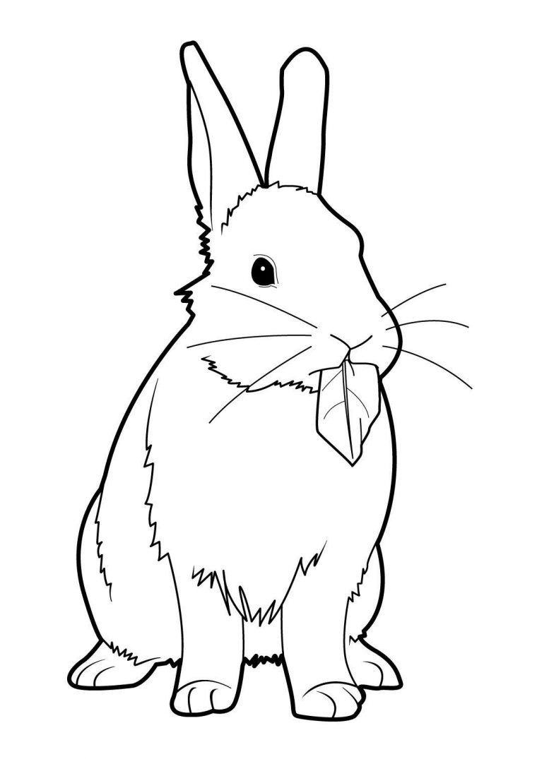 Coloriage Lapin 8 – Coloriage Lapins – Coloriages Animaux serapportantà Coloriage À Imprimer Lapin