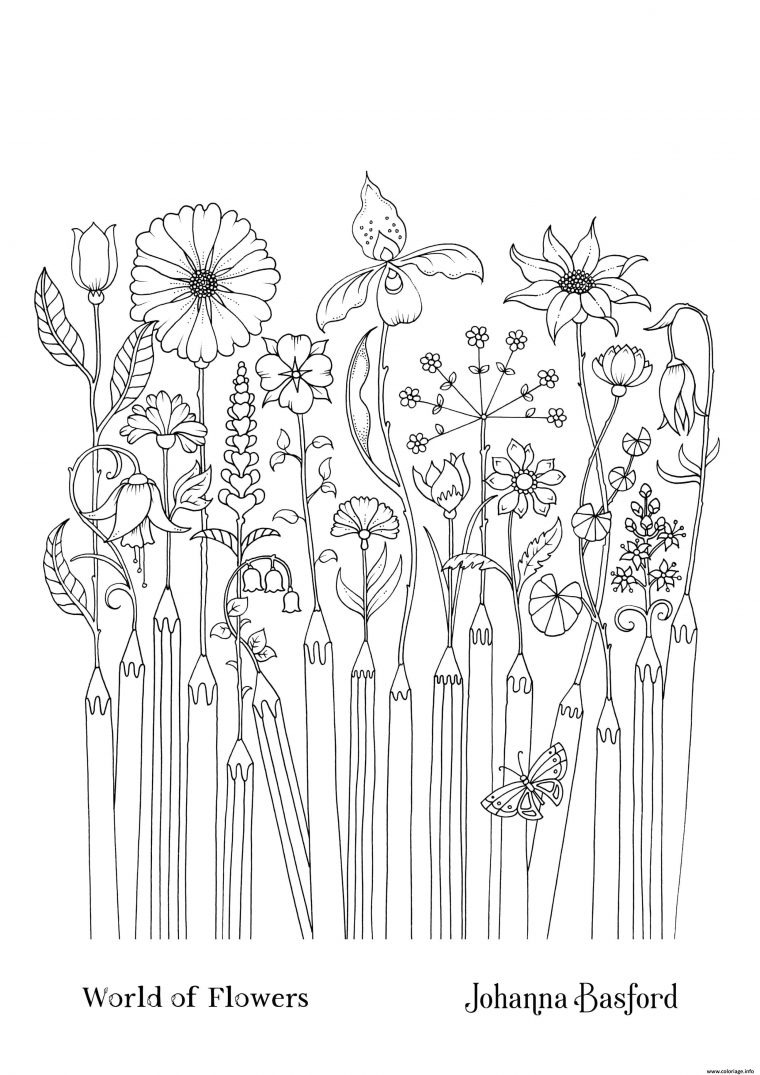 Coloriage Le Monde Des Fleurs 6 Dessin Adulte Par Johanna Basford À dedans Coloriage Fleurs