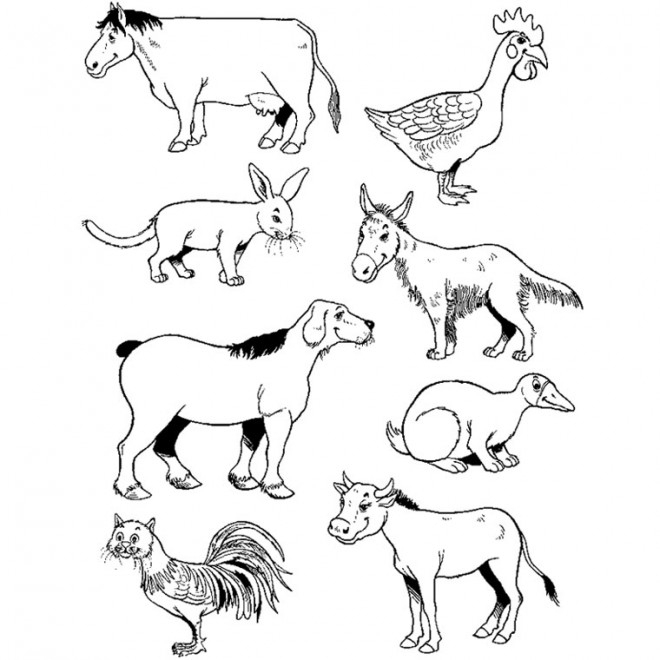 Coloriage Les Animaux De La Ferme Humoristique Dessin Gratuit À Imprimer serapportantà Coloriage D Animaux A Imprimer 