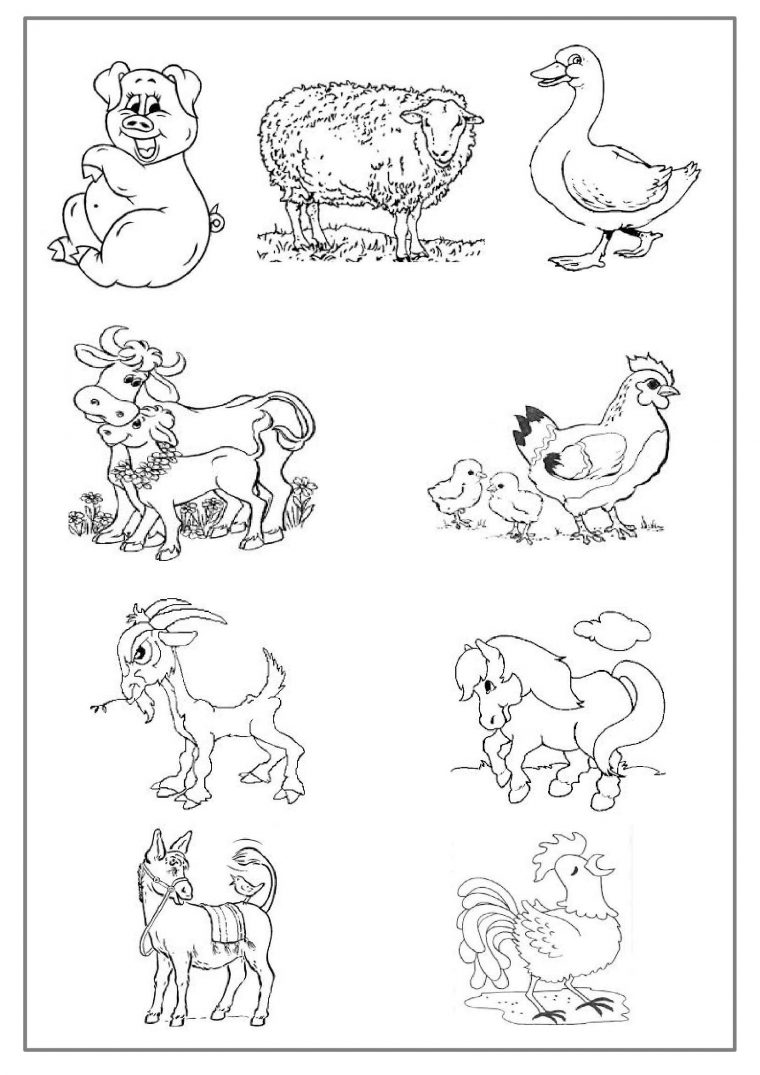 Coloriage Les Animaux De La Ferme Preprof  Coloriage Ferme, Coloriage à Imagier Animaux De La Ferme À Imprimer