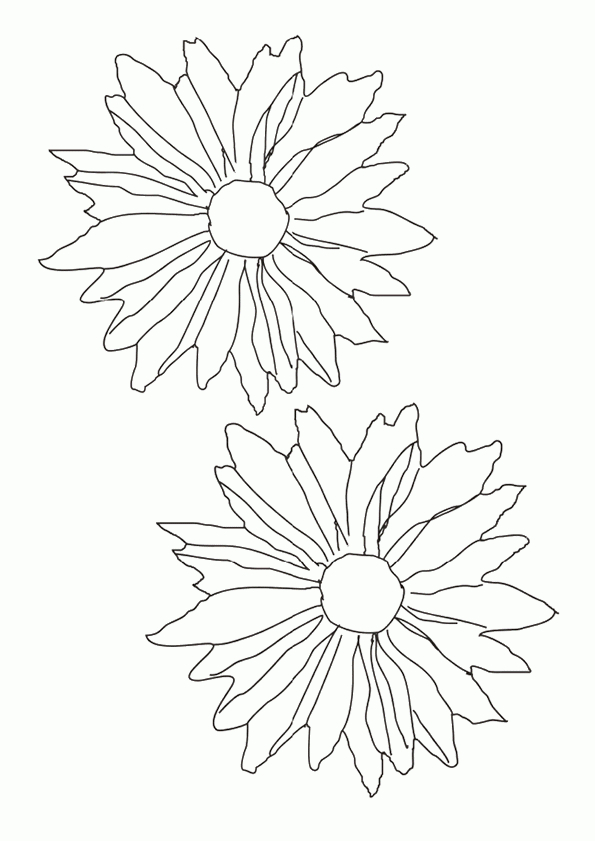 Coloriage Les Pétales De Fleurs encequiconcerne Des Dessins De Fleurs