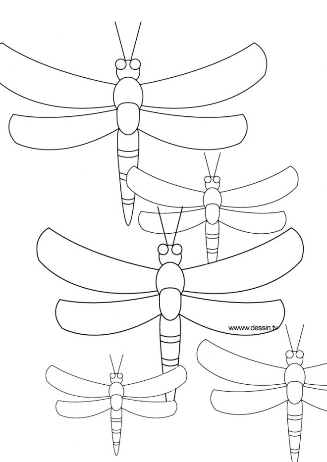 Coloriage Libellule 18 Dessin Gratuit À Imprimer encequiconcerne Coloriage Libellule