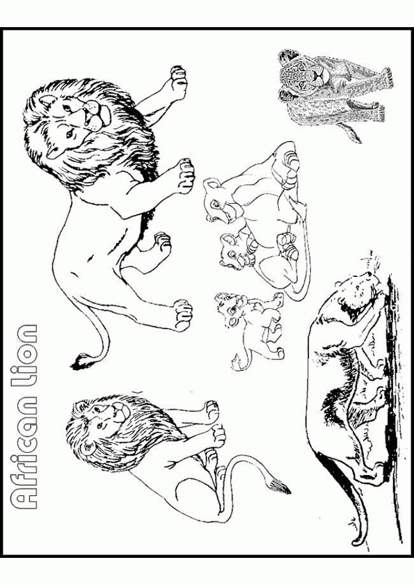 Coloriage Lion Afrique Coloriage Sur Hugolescargot tout Coloriage D Afrique A Imprimer 