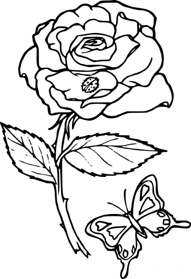 Coloriage Mandala Rose Inspirant Images Coloriage Rose Fleur À Imprimer dedans Coloriage De Rose