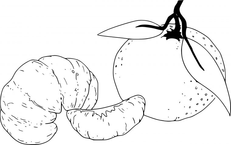 Coloriage Mandarine À Imprimer serapportantà Fruit A Dessiner