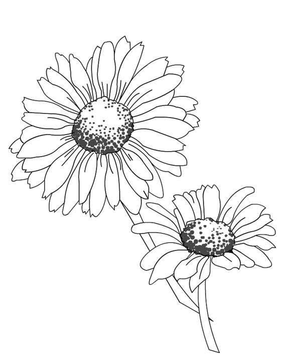 Coloriage Marguerite #161445 (Nature) - Album De Coloriages destiné Fleur A Imprimer Et Decouper 