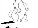 Coloriage Marmotte #11050 (Animaux) - Album De Coloriages destiné Coloriage De Marmotte
