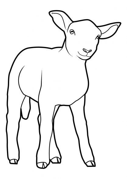Coloriage Mouton #11502 (Animaux) - Album De Coloriages pour Mouton A Colorier 