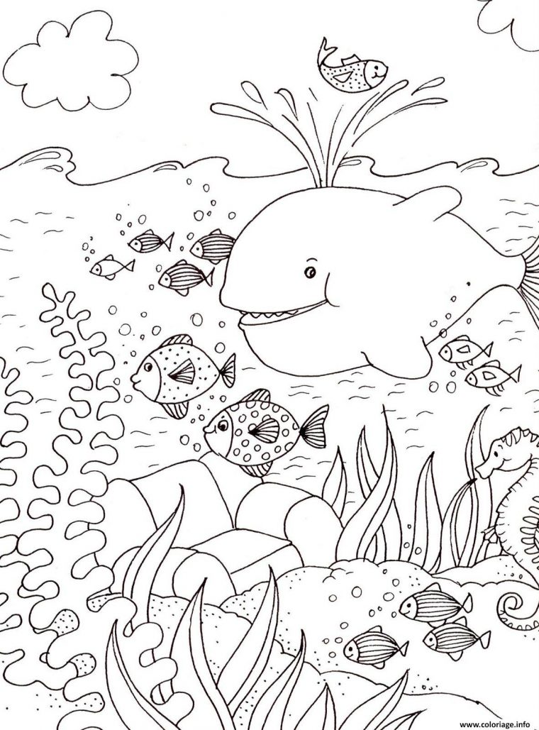 Coloriage Ocean Mer Vacances Baleine Poissons Ete Dessin Ete À Imprimer intérieur L Été Coloriage