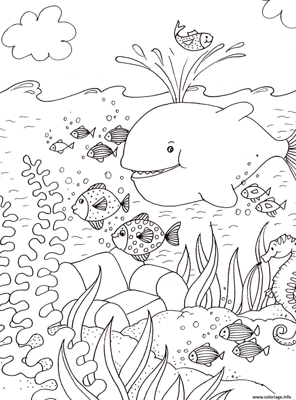 Coloriage Ocean Mer Vacances Baleine Poissons Ete Dessin Ete À Imprimer intérieur L Été Coloriage 