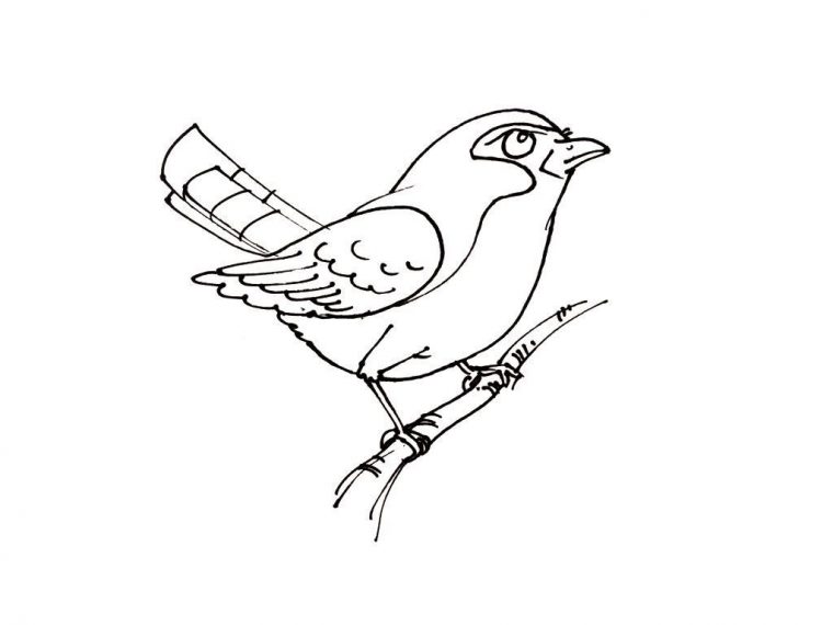 Coloriage Oiseau 13 – Coloriage Oiseaux – Coloriages Animaux à Dessin A Imprimer Oiseau