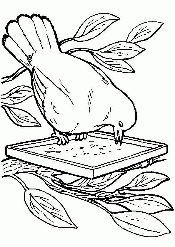 Coloriage Oiseau Maman Oiseau Mange destiné Dessin A Imprimer Oiseau