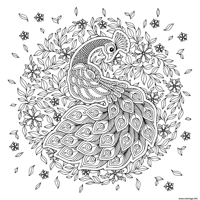 Coloriage Paon Oiseau Adulte Mandala Dessin Paon À Imprimer destiné Mandalas À Colorier Gratuit