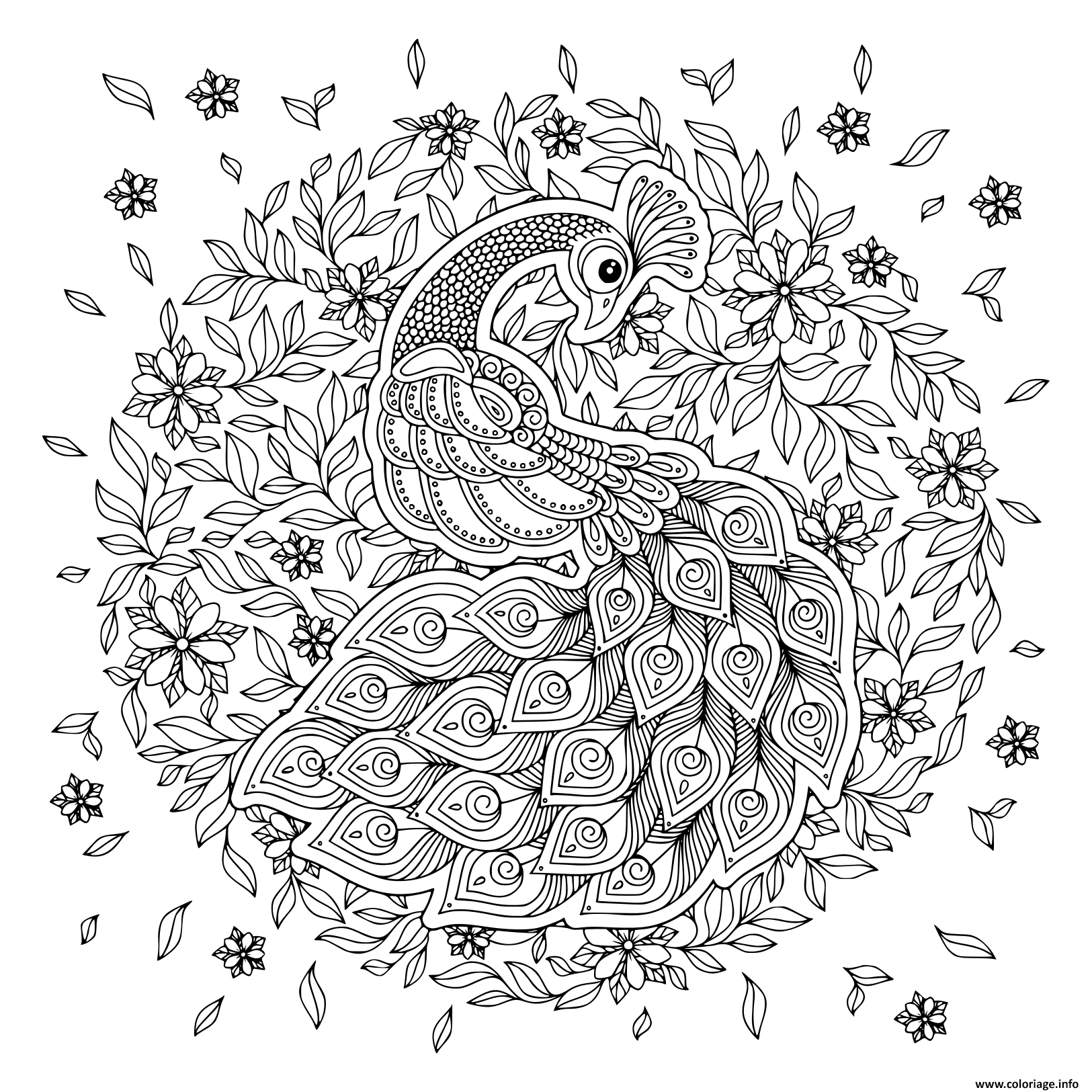 Coloriage Paon Oiseau Adulte Mandala Dessin Paon À Imprimer destiné Mandalas À Colorier Gratuit 