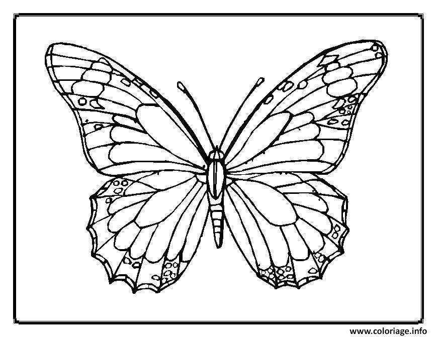 Coloriage Papillon 8 Dessin Papillon À Imprimer concernant Coloriage Papillon