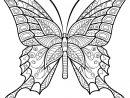 Coloriage Papillon Insecte Jolis Motifs 6 Dessin Adulte Papillon À Imprimer intérieur Coloriage De Papillon À Imprimer