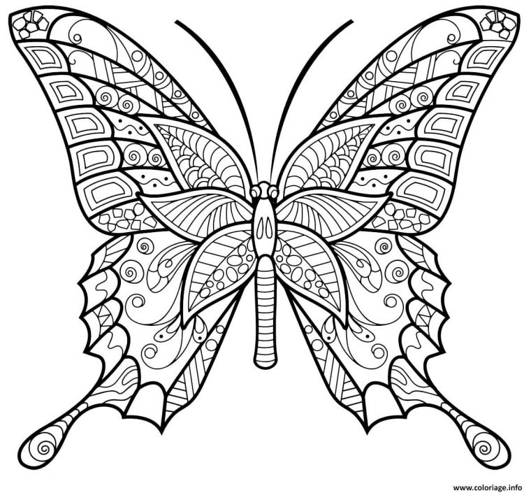 Coloriage Papillon Insecte Jolis Motifs 6 Dessin Adulte Papillon À Imprimer intérieur Coloriage De Papillon À Imprimer