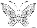 Coloriage Papillon Zentangle Jolis Motifs 17 Dessin Adulte Papillon À à Photo De Papillon A Imprimer