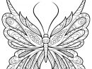 Coloriage Papillon Zentangle Jolis Motifs 18 Dessin Adulte Papillon À concernant Coloriage Papillon