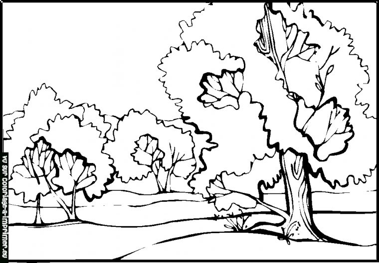 Coloriage Paysage À Imprimer Pour Les Enfants – Cp20349 tout Paysage De Montagne À Colorier Coloriage Paysage À Imprimer Pour Les Enfants – Cp20349 tout Paysage De Montagne À Colorier