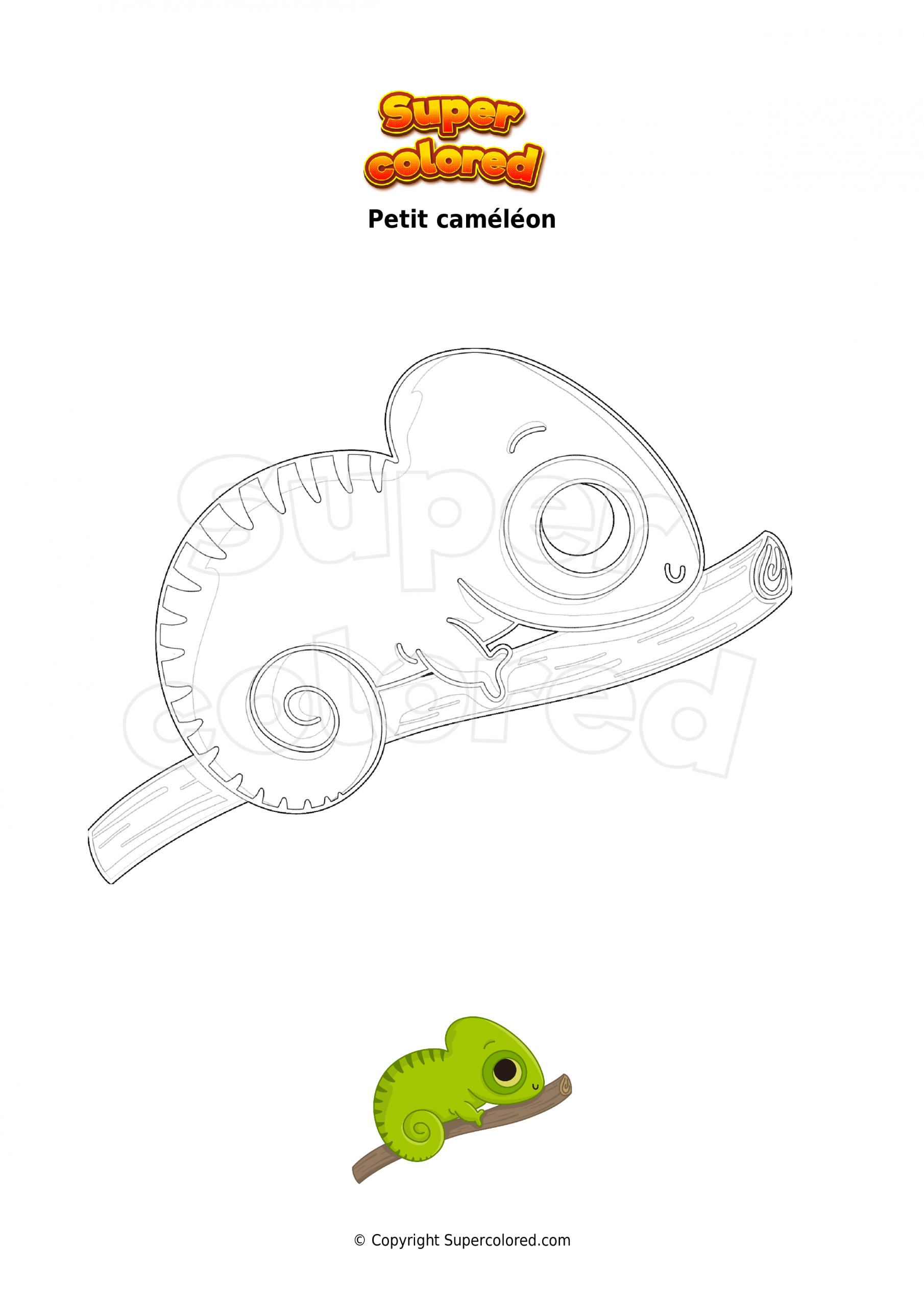 Coloriage Petit Caméléon - Supercolored pour Coloriage Cameleon 