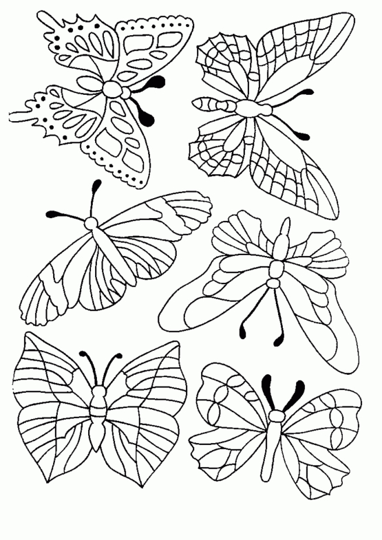 Coloriage Petit Papillon Imprimer dedans Coloriage De Papillon À Imprimer