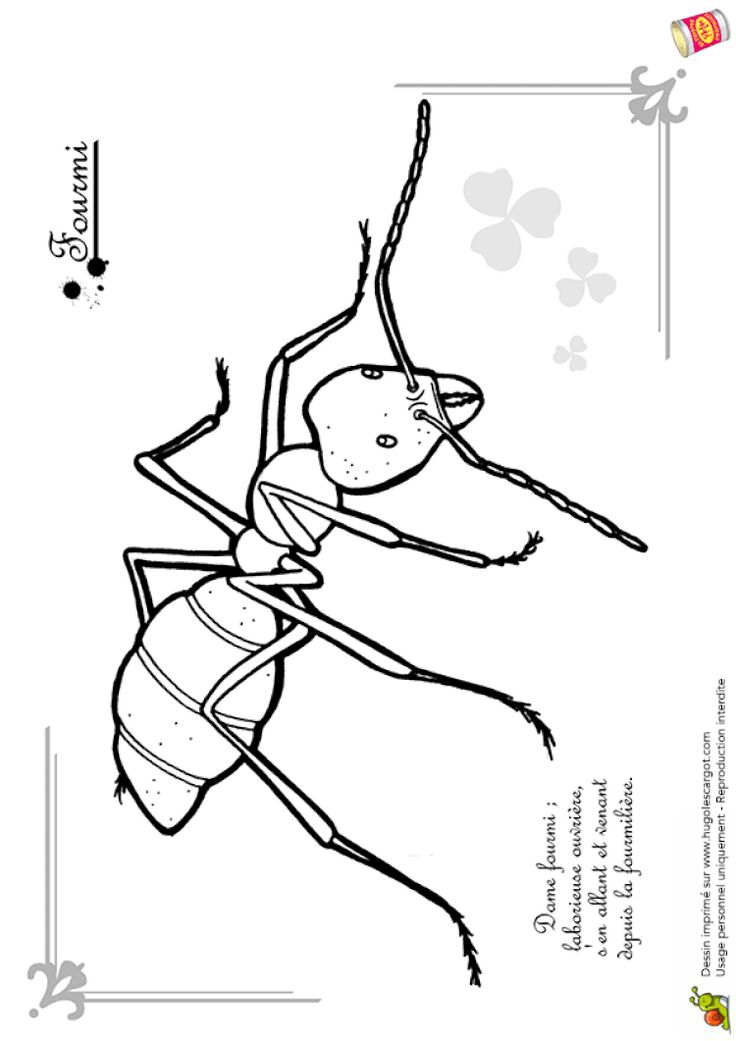 Coloriage Petites Betes Fourmi  Coloriage Insectes, Fourmis, Les encequiconcerne Une Cigale Dessin